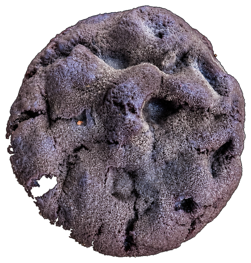ELARA MOON — filled cookie