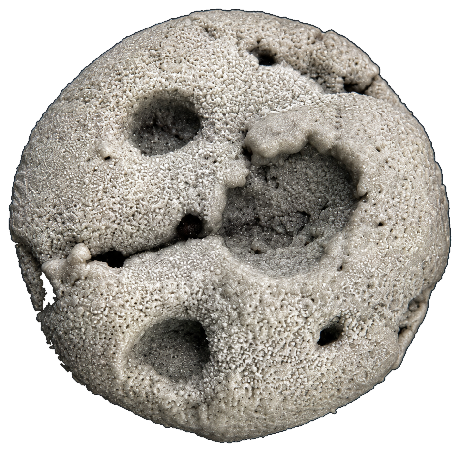 OUR MOON — filled cookie